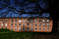 The Archive Block and Turkey Oak, Devon County Hall, Exeter